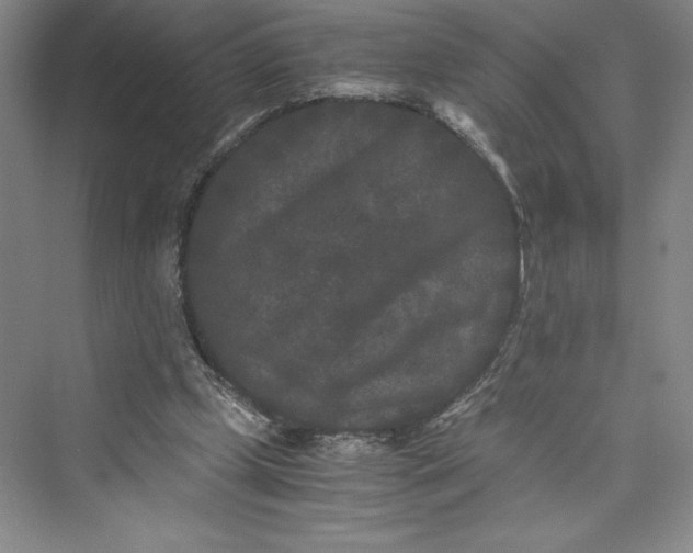 X0000073410249200608111332