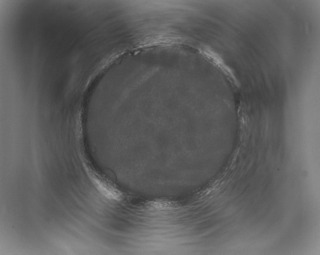 X0000073410250200608111332