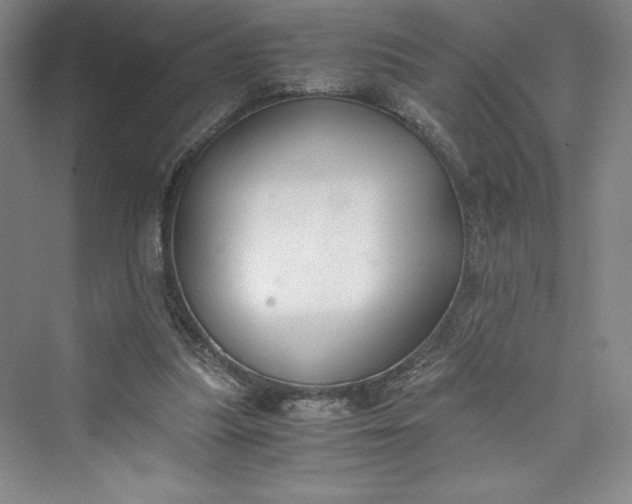 X0000073410251200608111332