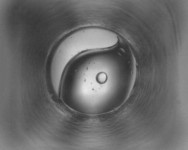 X0000073410252200608111332