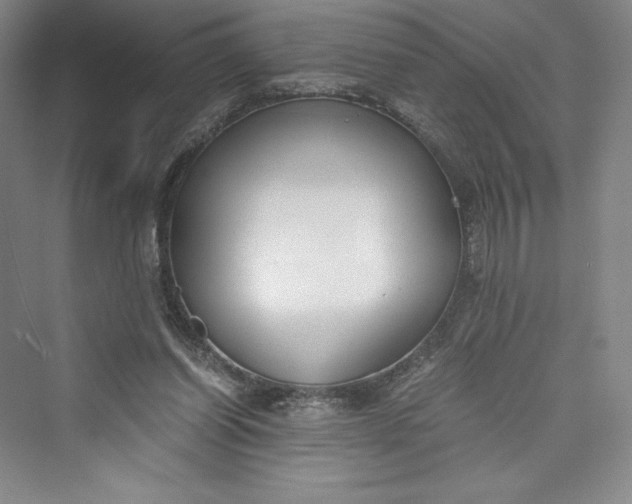 X0000073410254200608111332