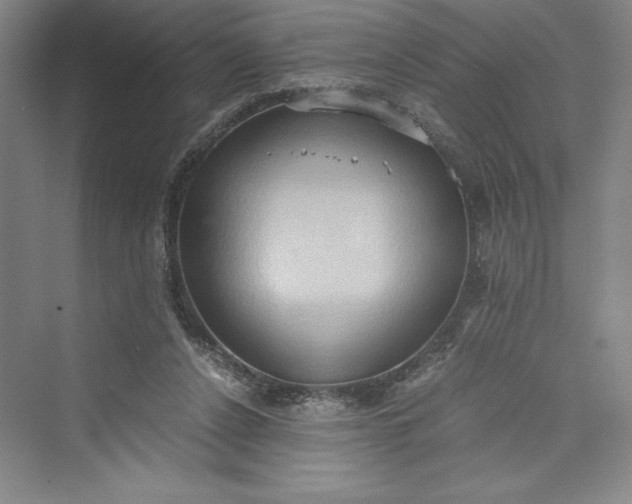 X0000073410256200608111332