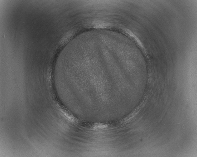 X0000073410257200608111332