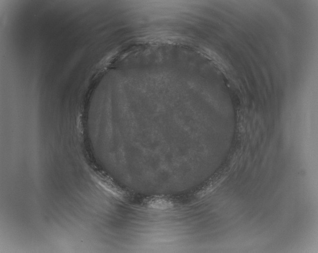 X0000073410258200608111332