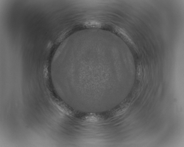 X0000073410259200608111332