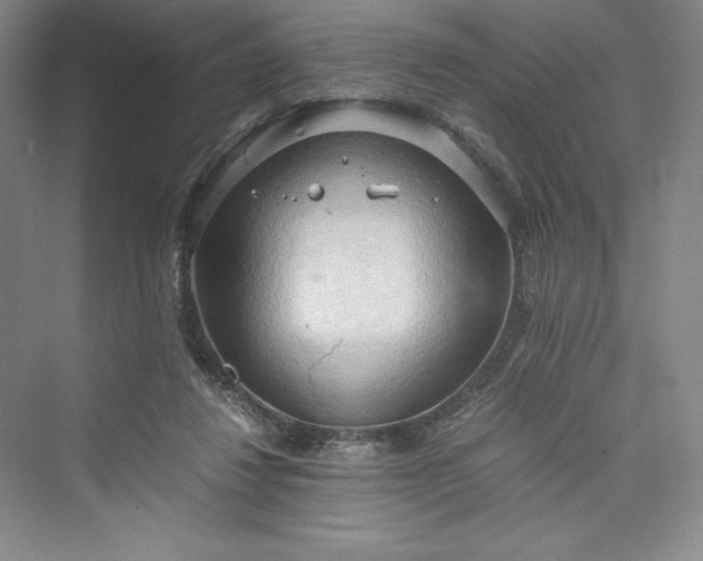 X0000073410260200608111333