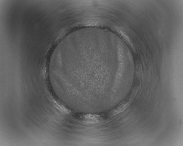 X0000073410261200608111333