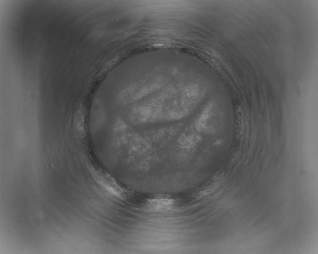 X0000073410266200608111333