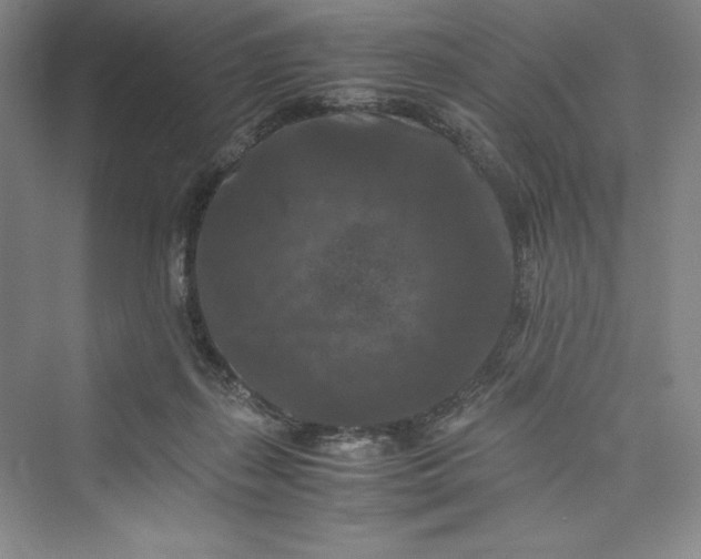 X0000073410267200608111333