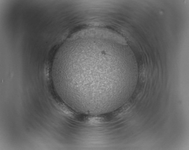 X0000073410268200608111333