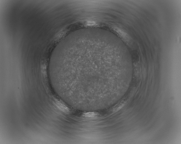 X0000073410269200608111333