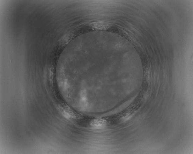 X0000073410271200608111333