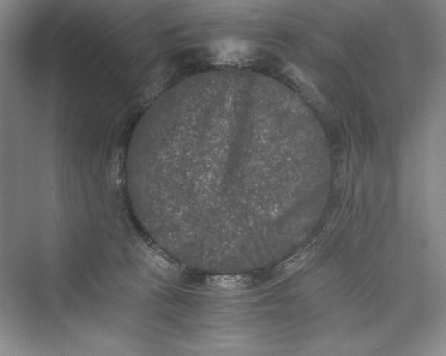 X0000073410273200608111333