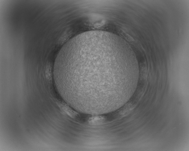 X0000073410274200608111333