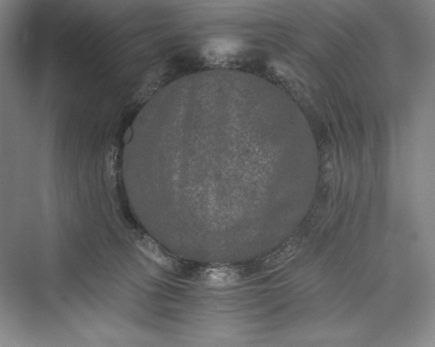 X0000073410275200608111333