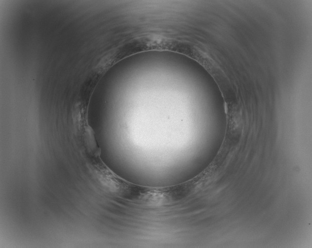 X0000073410276200608111333