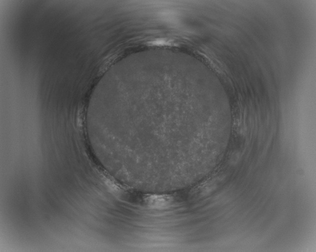 X0000073410277200608111333