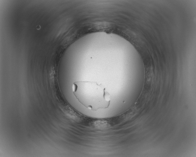 X0000073410279200608111333