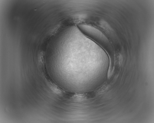 X0000073410280200608111333