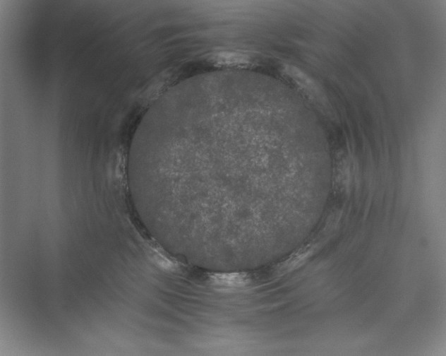 X0000073410281200608111333