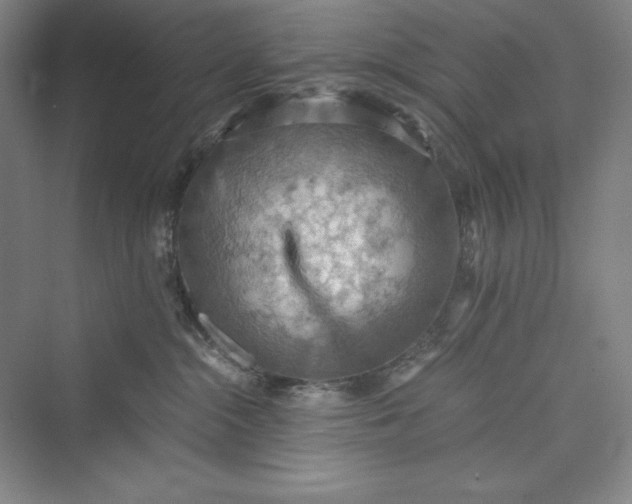 X0000073410284200608111333