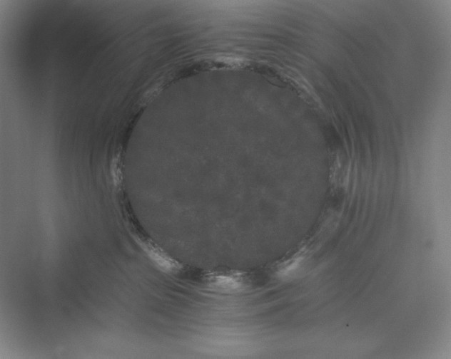 X0000073410285200608111333