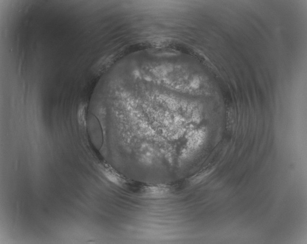 X0000073410286200608111333