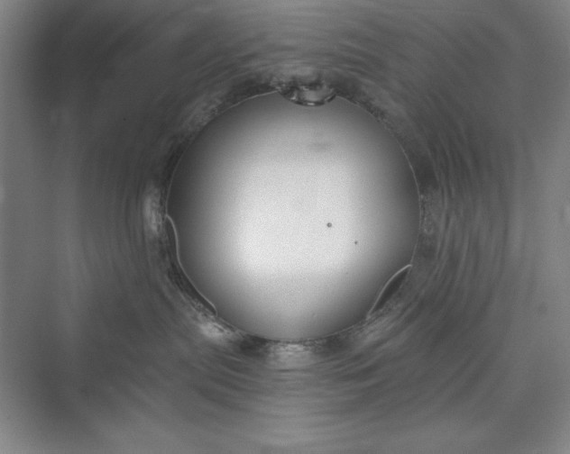 X0000073410287200608111333