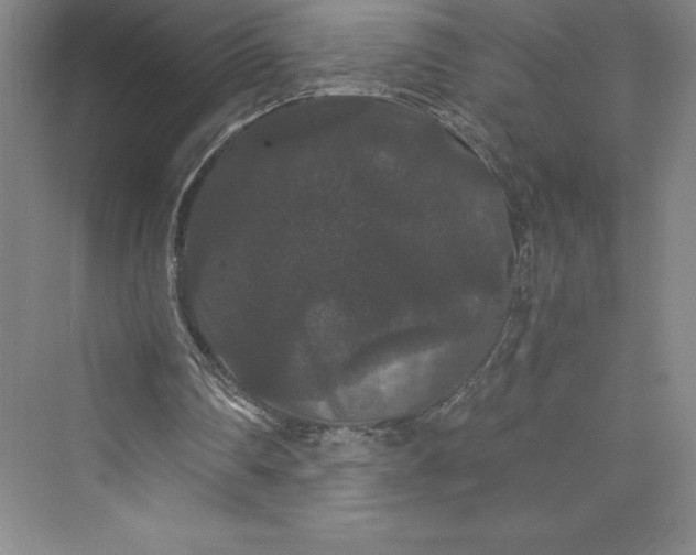 X0000073410290200608111332