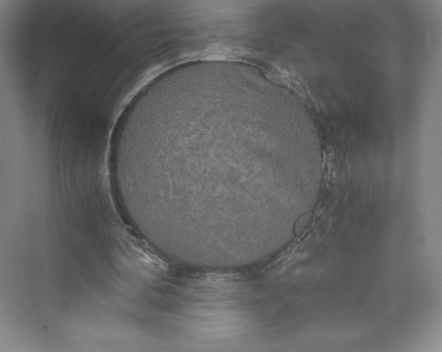 X0000073410292200608111332