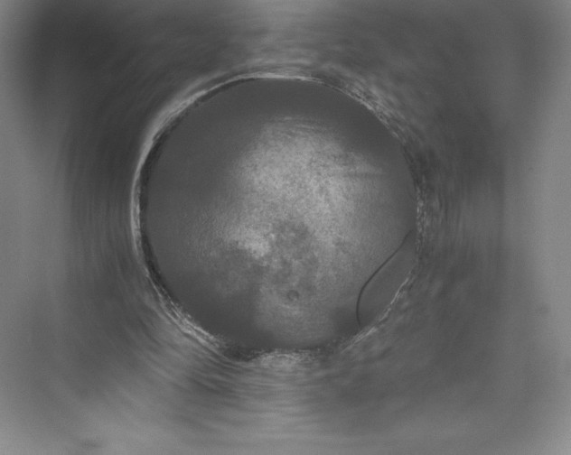 X0000073410294200608111332