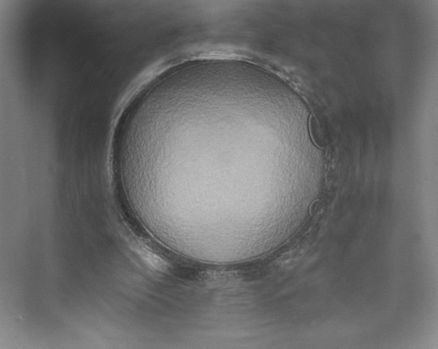 X0000073410296200608111332