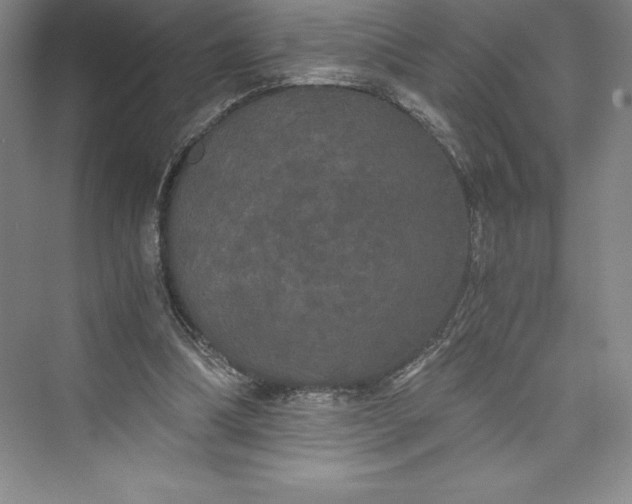 X0000073410298200608111332