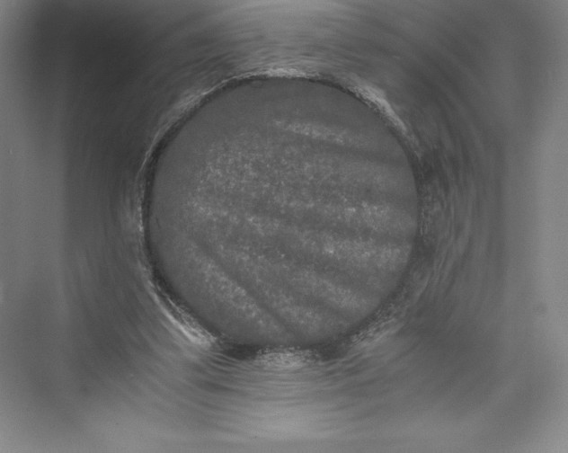 X0000073410299200608111332