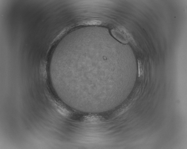 X0000073410300200608111332