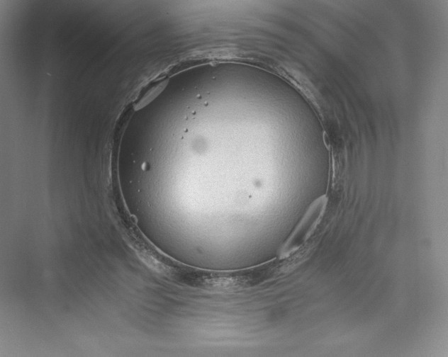 X0000073410301200608111332