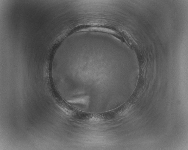 X0000073410303200608111332