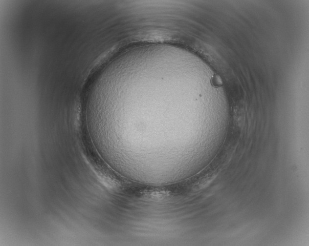 X0000073410304200608111332