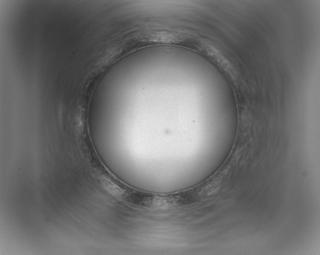 X0000073410305200608111332