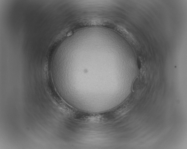 X0000073410306200608111332