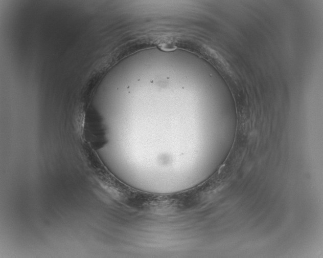 X0000073410307200608111332