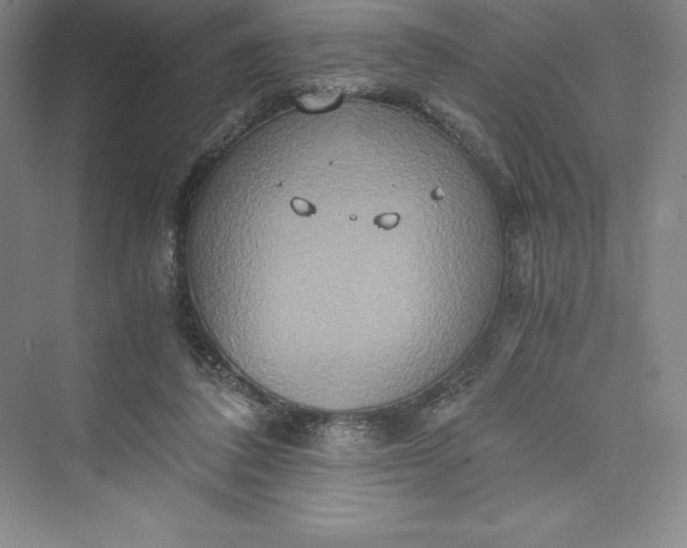 X0000073410308200608111332