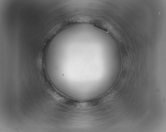 X0000073410309200608111332