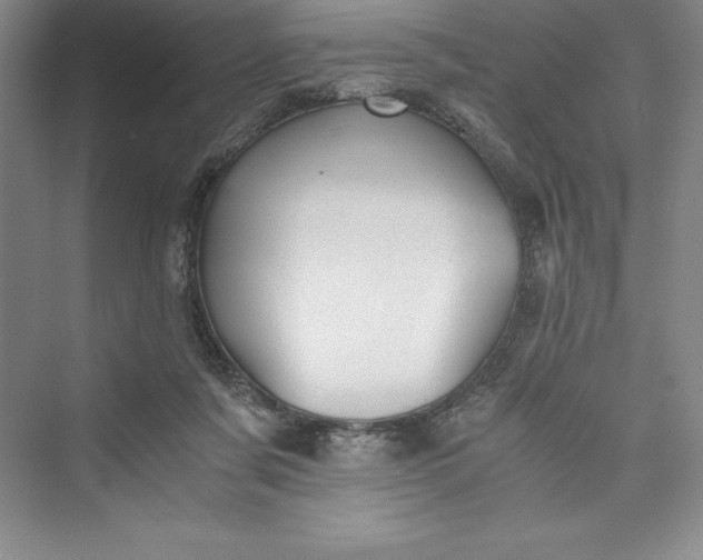 X0000073410311200608111332