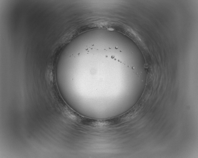 X0000073410313200608111332