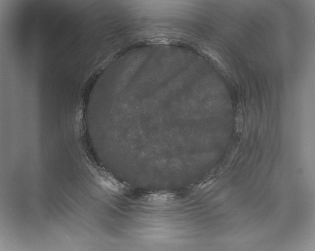 X0000073410314200608111332