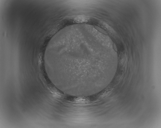 X0000073410315200608111332