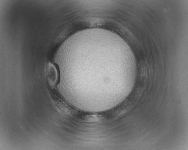 X0000073410316200608111332