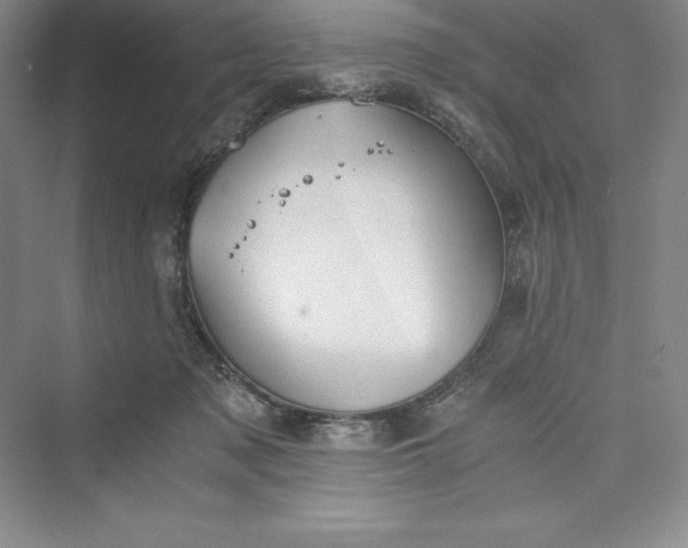 X0000073410317200608111332