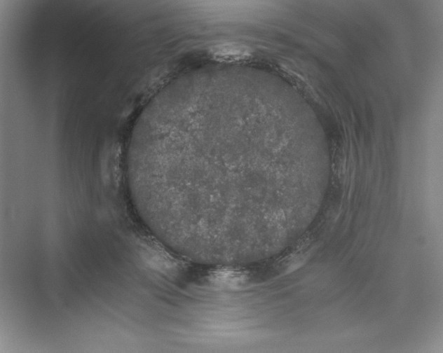 X0000073410319200608111332